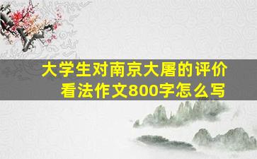 大学生对南京大屠的评价看法作文800字怎么写