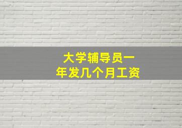 大学辅导员一年发几个月工资