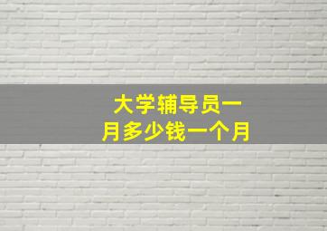 大学辅导员一月多少钱一个月