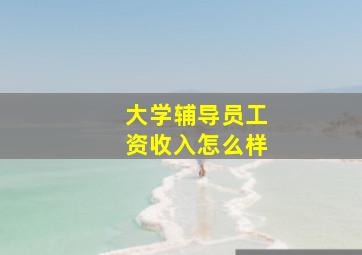 大学辅导员工资收入怎么样