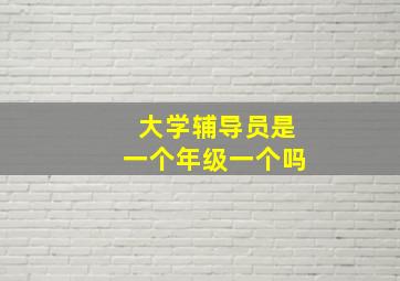 大学辅导员是一个年级一个吗