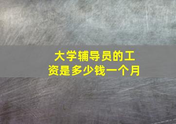 大学辅导员的工资是多少钱一个月