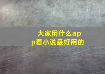 大家用什么app看小说最好用的