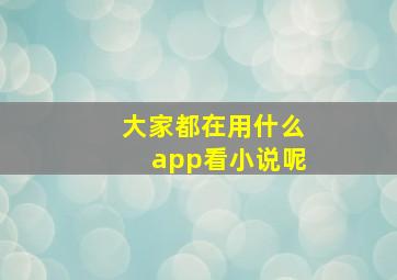 大家都在用什么app看小说呢