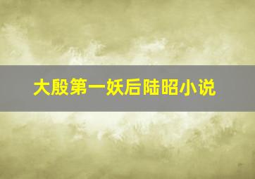 大殷第一妖后陆昭小说