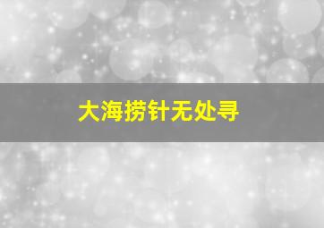 大海捞针无处寻