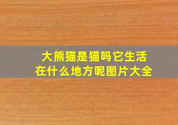 大熊猫是猫吗它生活在什么地方呢图片大全