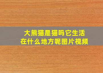 大熊猫是猫吗它生活在什么地方呢图片视频