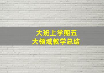 大班上学期五大领域教学总结