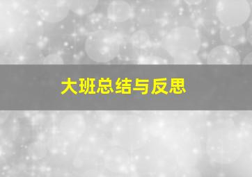 大班总结与反思