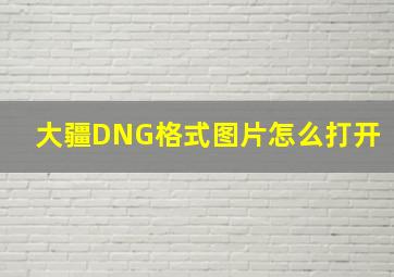 大疆DNG格式图片怎么打开