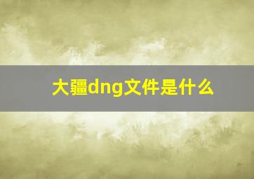 大疆dng文件是什么