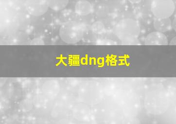 大疆dng格式