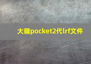 大疆pocket2代lrf文件