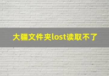 大疆文件夹lost读取不了