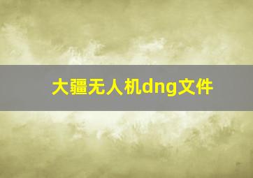 大疆无人机dng文件