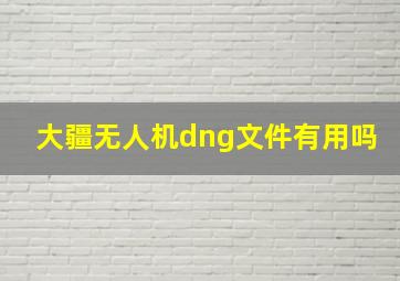 大疆无人机dng文件有用吗