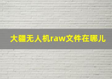 大疆无人机raw文件在哪儿