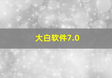 大白软件7.0