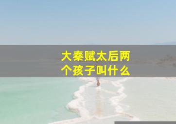 大秦赋太后两个孩子叫什么