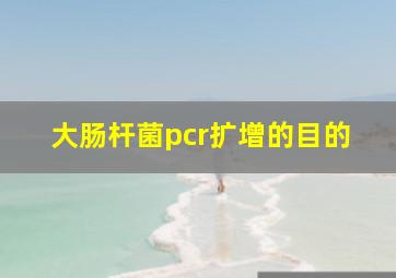 大肠杆菌pcr扩增的目的