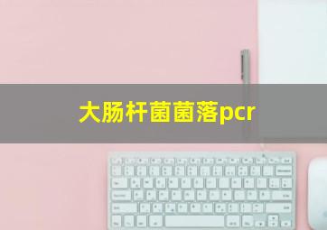 大肠杆菌菌落pcr