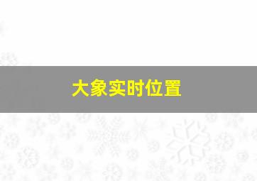 大象实时位置