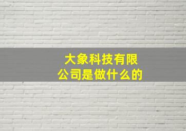 大象科技有限公司是做什么的