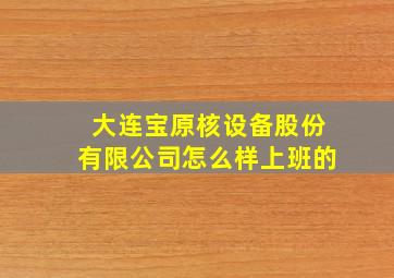 大连宝原核设备股份有限公司怎么样上班的