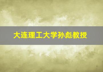 大连理工大学孙彪教授