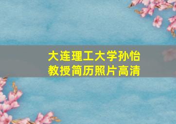 大连理工大学孙怡教授简历照片高清