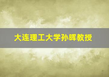 大连理工大学孙晖教授