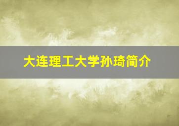 大连理工大学孙琦简介