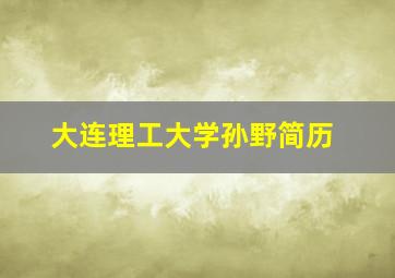 大连理工大学孙野简历