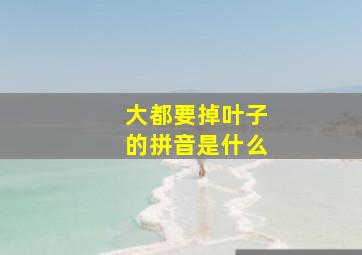 大都要掉叶子的拼音是什么