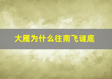 大雁为什么往南飞谜底