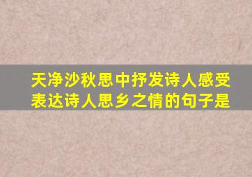 天净沙秋思中抒发诗人感受表达诗人思乡之情的句子是