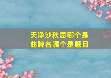 天净沙秋思哪个是曲牌名哪个是题目