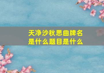 天净沙秋思曲牌名是什么题目是什么