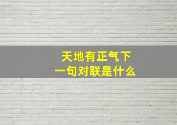 天地有正气下一句对联是什么