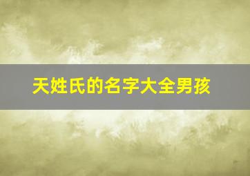 天姓氏的名字大全男孩