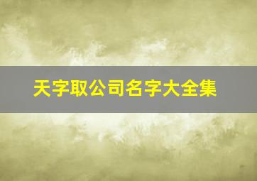 天字取公司名字大全集