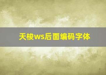 天梭ws后面编码字体