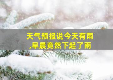 天气预报说今天有雨,早晨竟然下起了雨