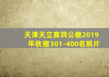 天津天立赛鸽公棚2019年秋棚301-400名照片