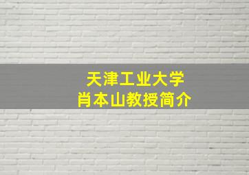 天津工业大学肖本山教授简介