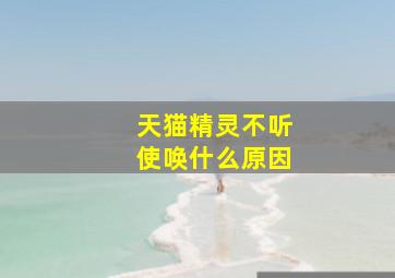 天猫精灵不听使唤什么原因