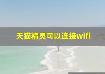 天猫精灵可以连接wifi