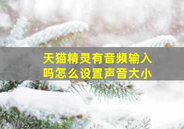 天猫精灵有音频输入吗怎么设置声音大小