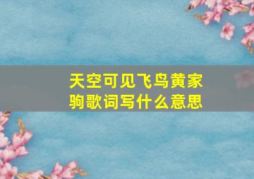 天空可见飞鸟黄家驹歌词写什么意思